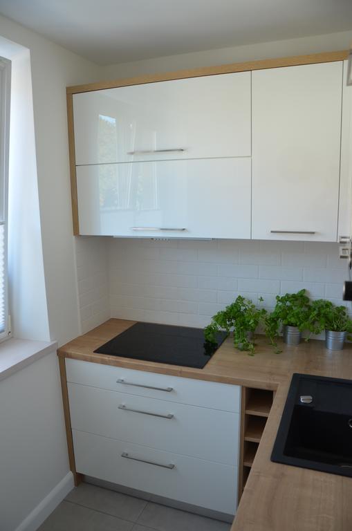 Apartament Na Starowce Grobla I Gdansk Phòng bức ảnh